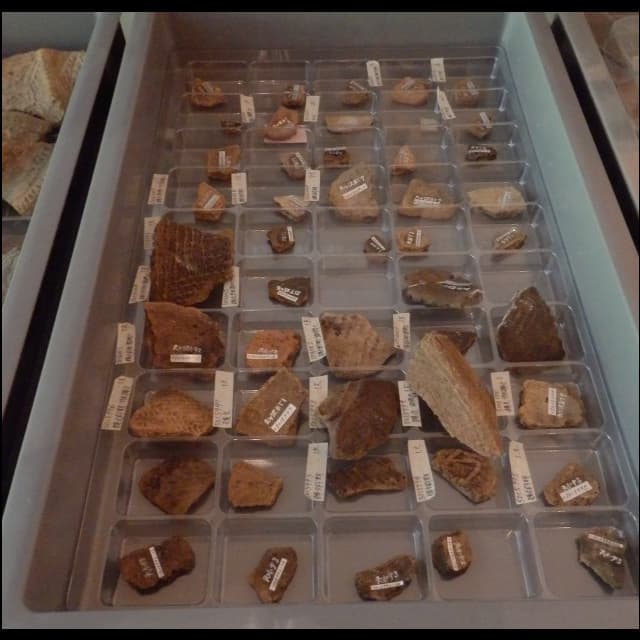 出土した石器類