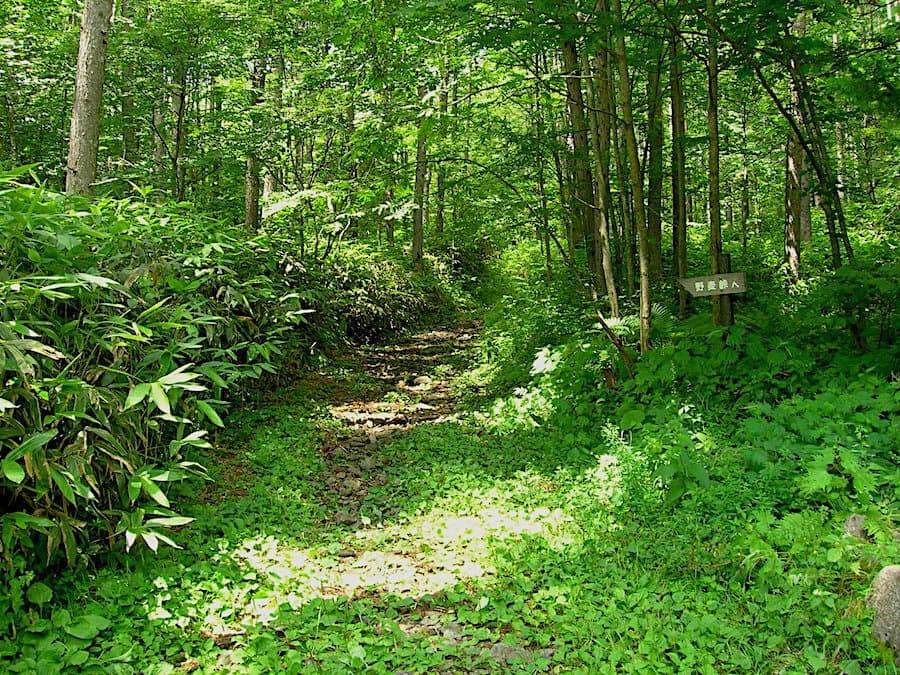 野麦峠の道（長野県により整備保存）