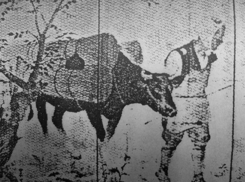 野麦街道_尾州岡船