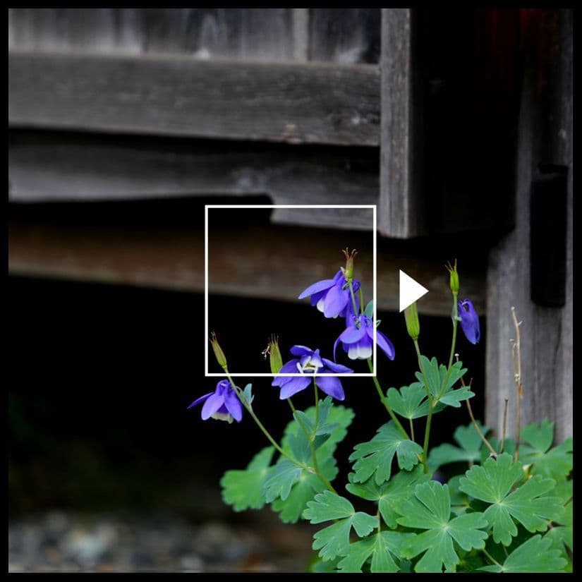 奈川の風景・古民家