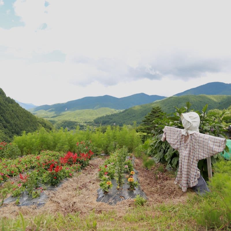奈川の風景写真