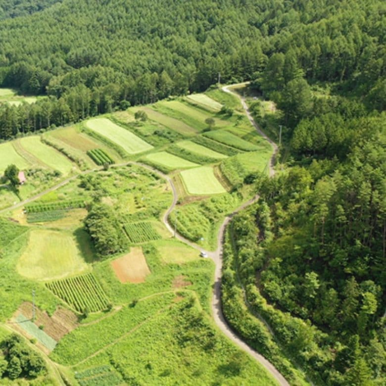 奈川の風景写真