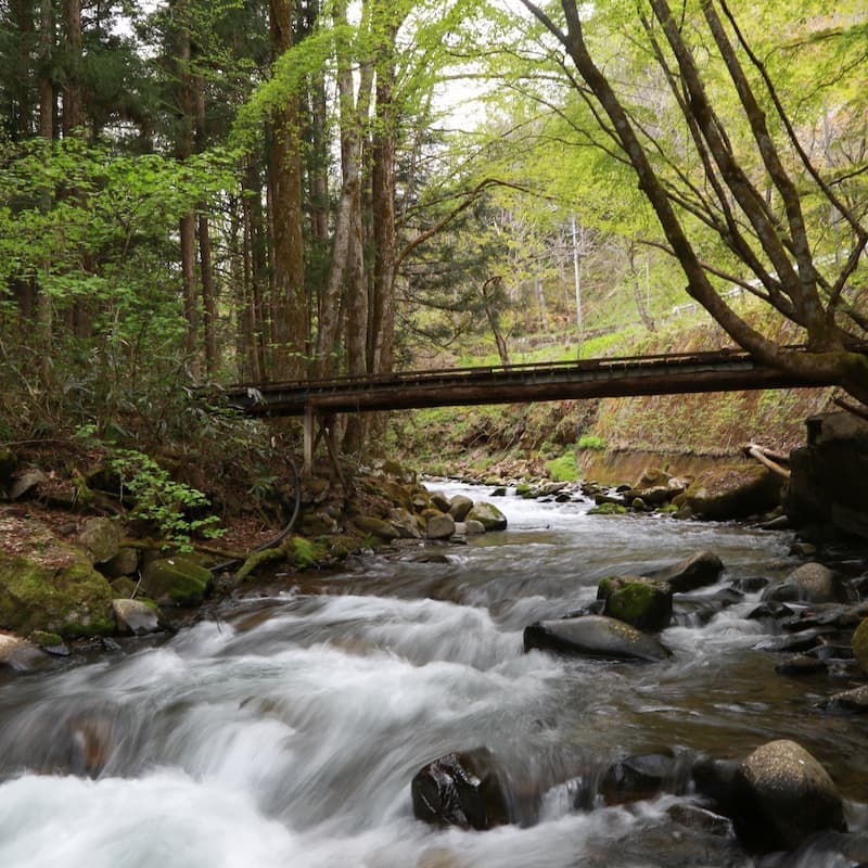 奈川の風景写真