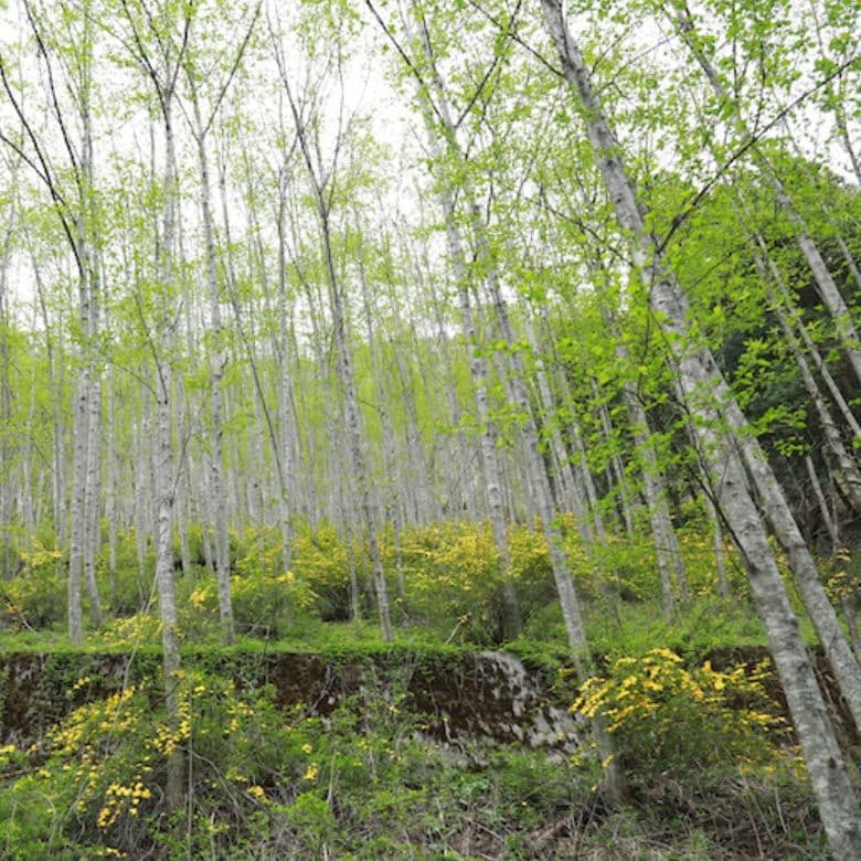 奈川の風景写真