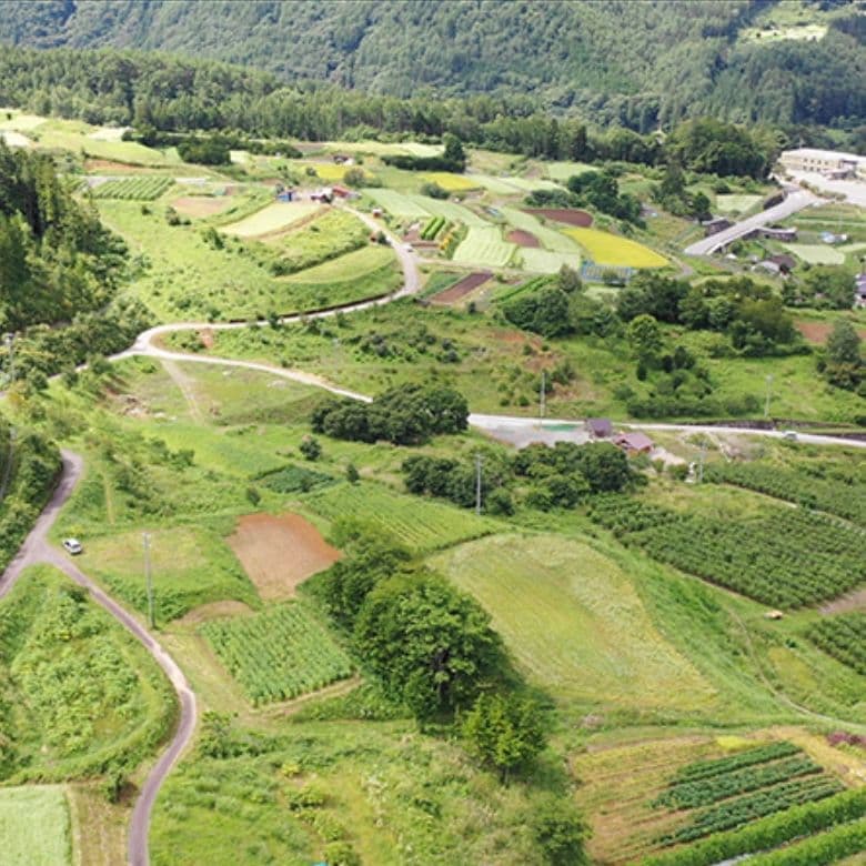 奈川の風景ドローン写真