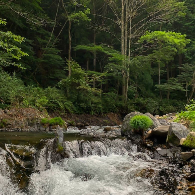 奈川の風景写真