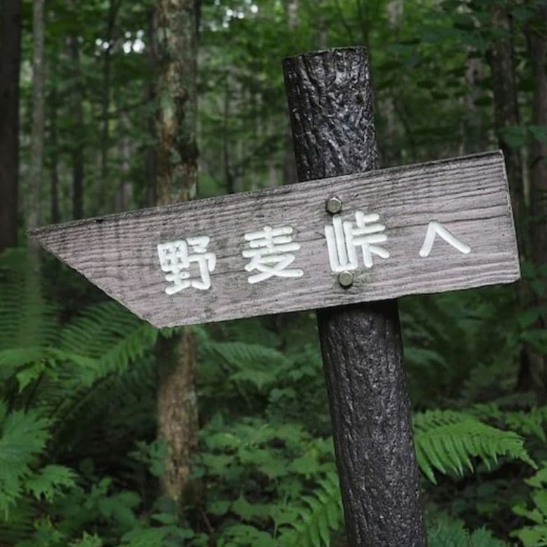 奈川の風景写真