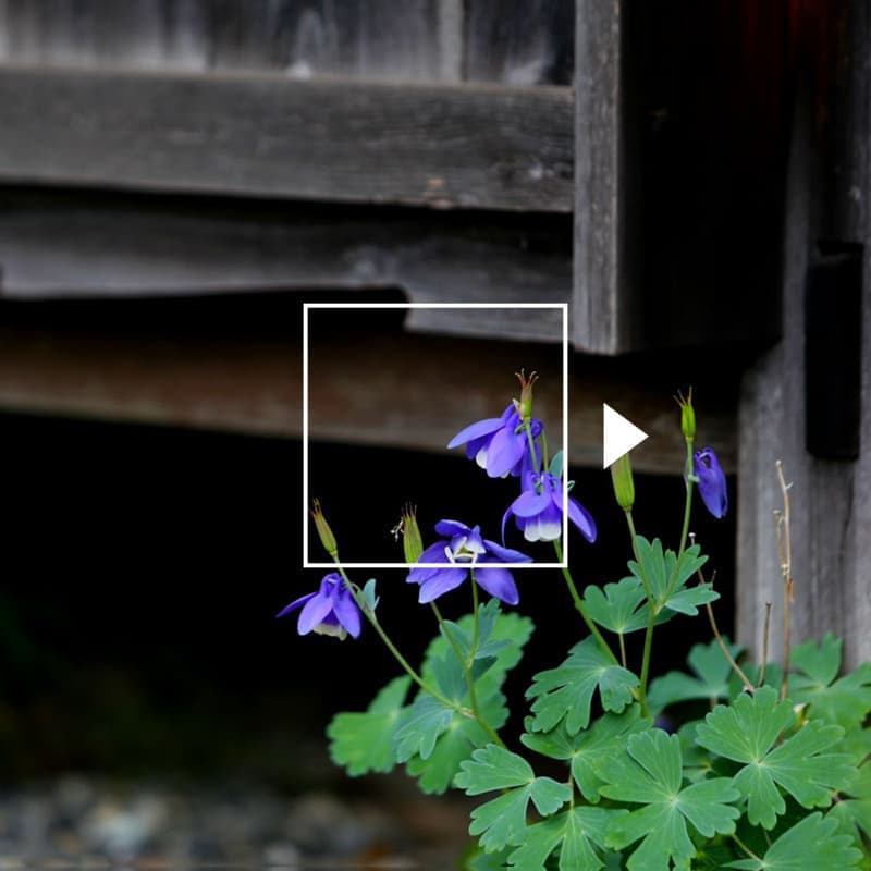 奈川の風景_リンクボタン