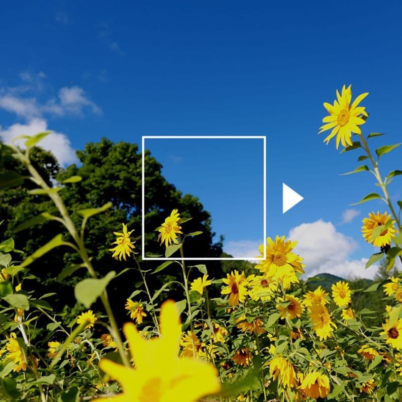 奈川の風景＿リンクボタン