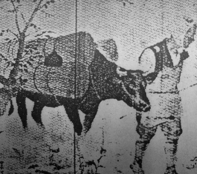 奈川の牛稼ぎ_尾州岡船